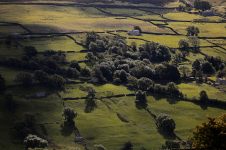 Swaledale Photography, North Yorkshire. Photographer in Swaledale, Yorkshire