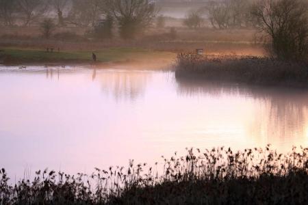 Doxey Marshes Nature Reserve in Stafford - Pictures by Paul Pickard