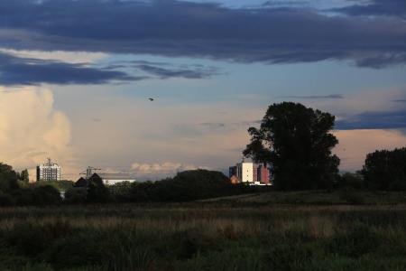 Doxey Marshes Nature Reserve in Stafford - Pictures by Paul Pickard